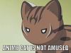 Click image for larger version

Name:	Anime cat.jpg
Views:	121
Size:	26.1 KB
ID:	1014
