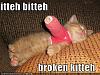 Click image for larger version

Name:	128750344476411670.jpg
Views:	166
Size:	48.2 KB
ID:	1074