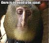 Click image for larger version

Name:	roflbot.jpg
Views:	188
Size:	20.1 KB
ID:	2133