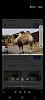 Click image for larger version

Name:	IMG-20241005-WA0003.jpg
Views:	21
Size:	72.6 KB
ID:	5966