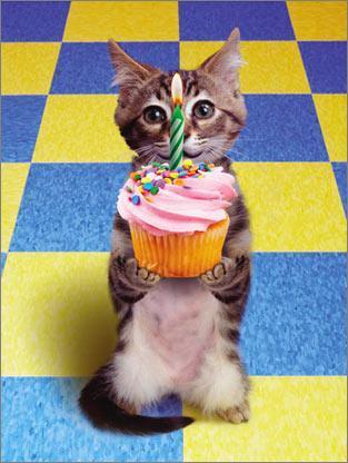 Suze Happy Birthday Chat And Games Page 2 Thisisbigbrother Com Uk Tv Forums